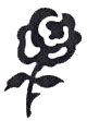 Sch�nheit